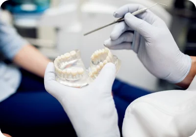 Dentist Showing Dentures & Implants